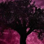 pink back w black tree