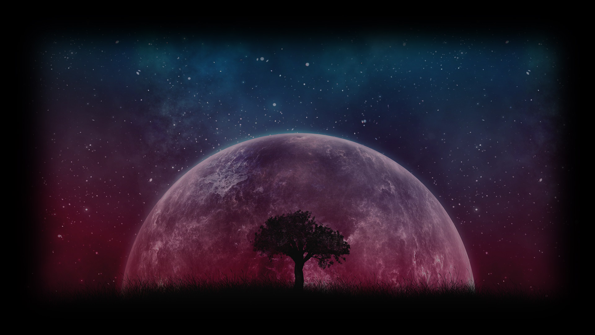full pink moon and tree